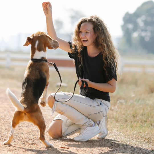 Schwarz Weiß Foto Einfach Hundeschule Ankündigung Instagram Post